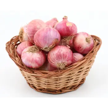 onion (11)-9787204-67774.webp